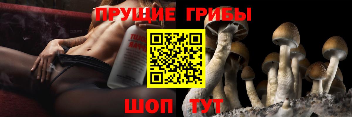 Людиново  Галлюциногенные грибы Psilocybe  Вход с VPN  Галлюциногенные грибы GOLDEN TEACHER 